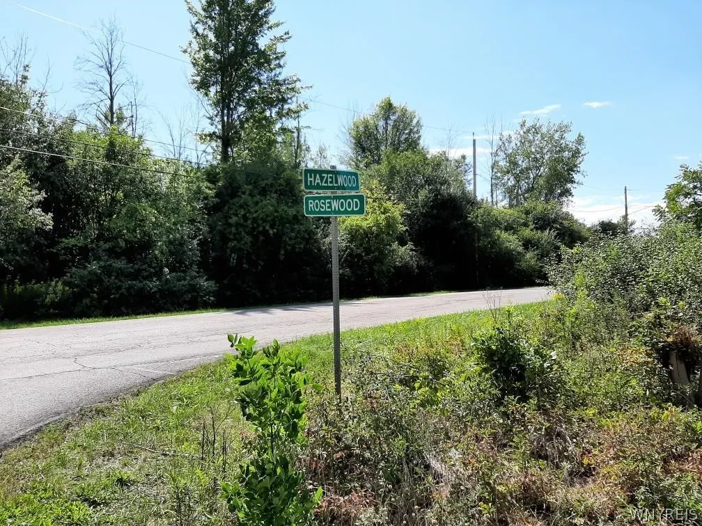 5962 Rosewood Terrace West, Hamburg, New York 1407, Hamburg, New York 14075, ,Land,For Sale,5962 Rosewood Terrace West, Hamburg, New York 1407,0,B1661546