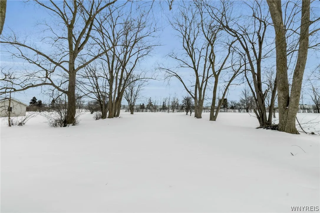 huge back yard!