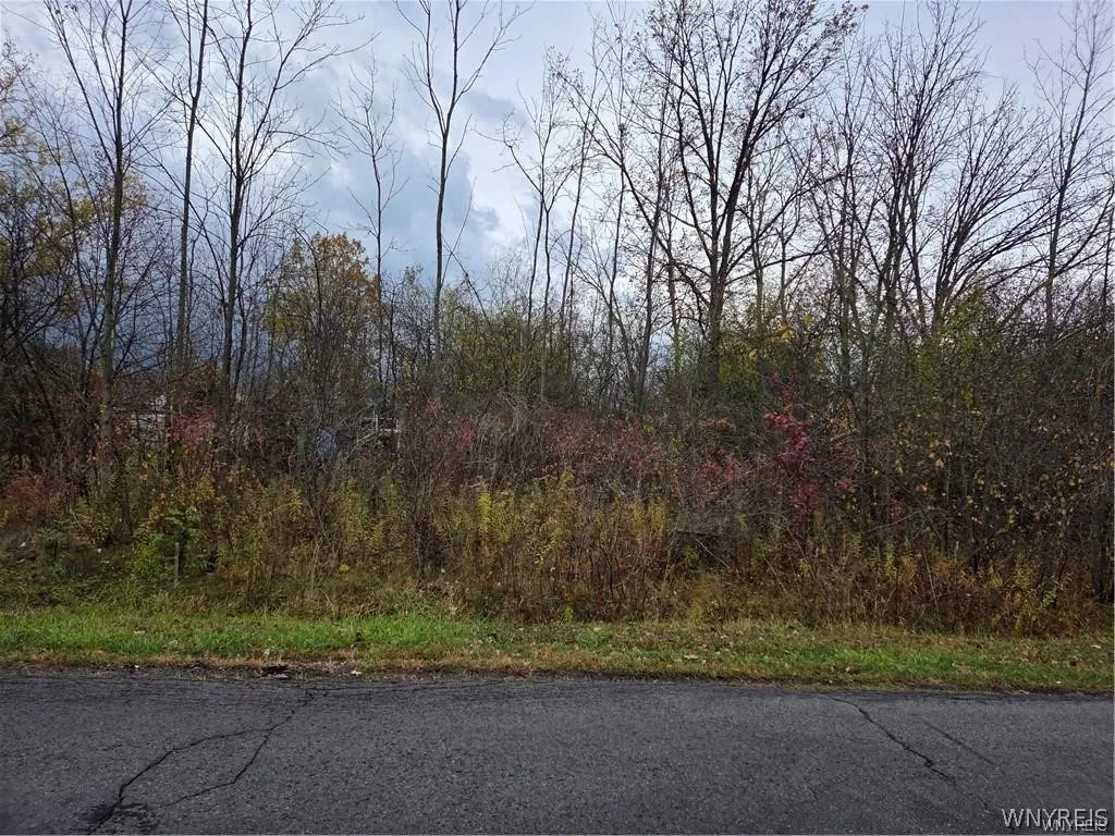 Vl Fourth, Niagara, New York 14305, Niagara, New York 14305, ,Land,For Sale,Vl Fourth, Niagara, New York 14305,0,B1663062 Vl Fourth, Niagara, New York 14305, Niagara, New York 14305, ,Land,For Sale,Vl Fourth, Niagara, New York 14305,0,B1663062
