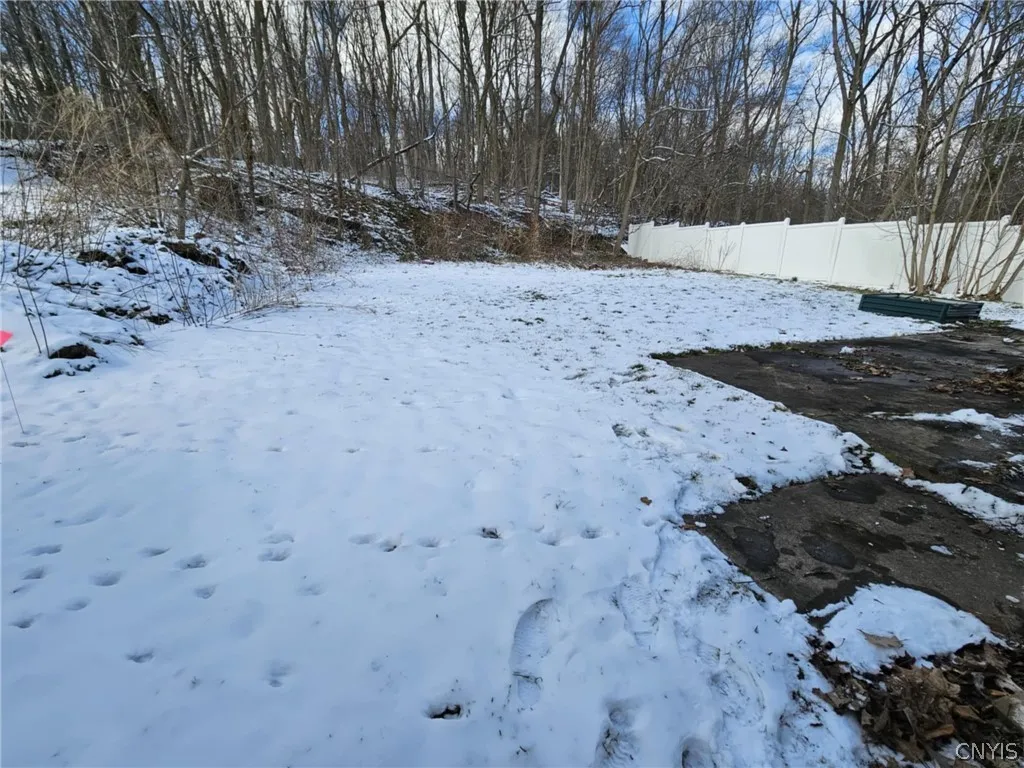 Back yard.