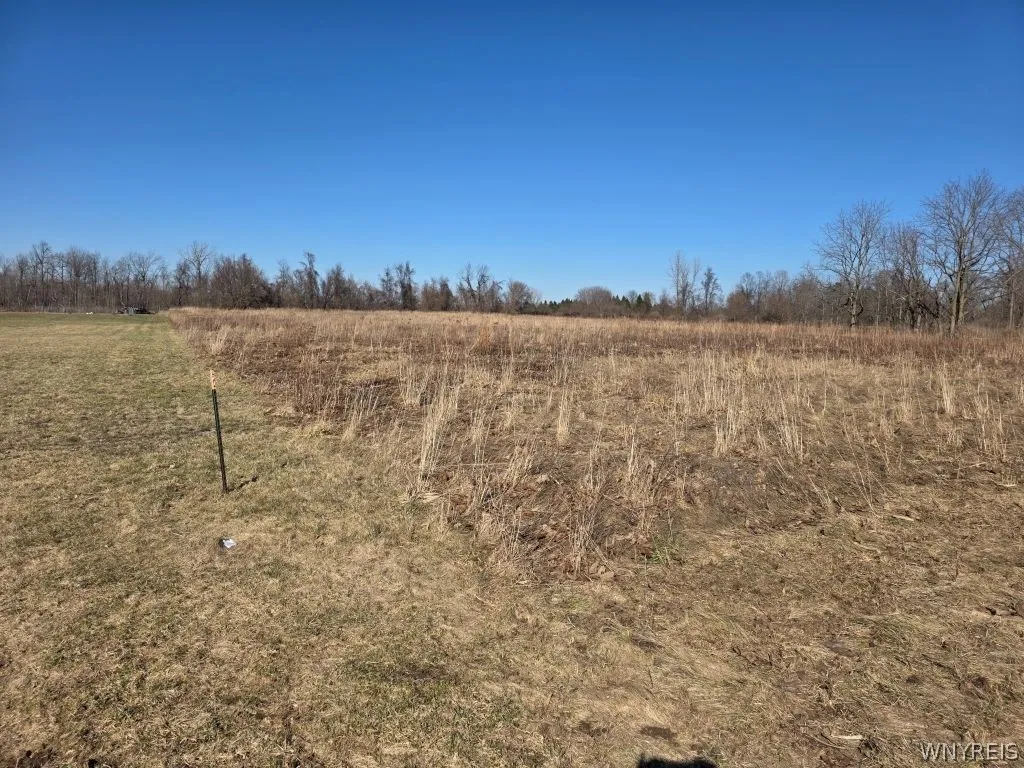 10880 Miland Road, Clarence, New York 14032, Clarence, New York 14032, ,Land,For Sale,10880 Miland Road, Clarence, New York 14032,0,B1667834