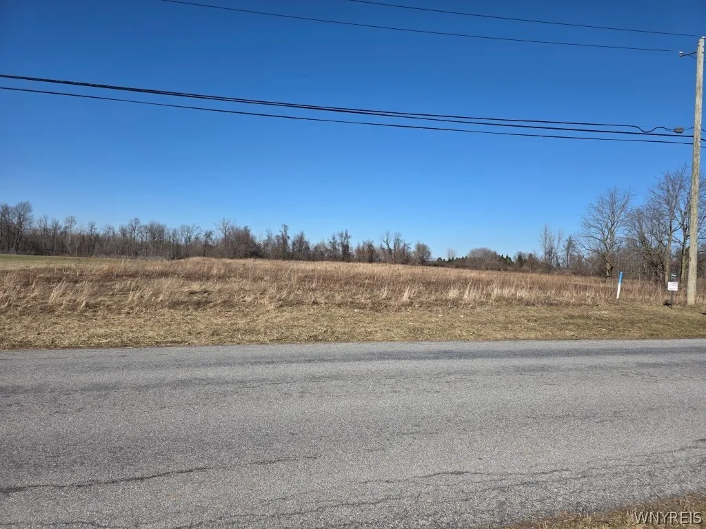 10880 Miland Road, Clarence, New York 14032, Clarence, New York 14032, ,Land,For Sale,10880 Miland Road, Clarence, New York 14032,0,B1667834