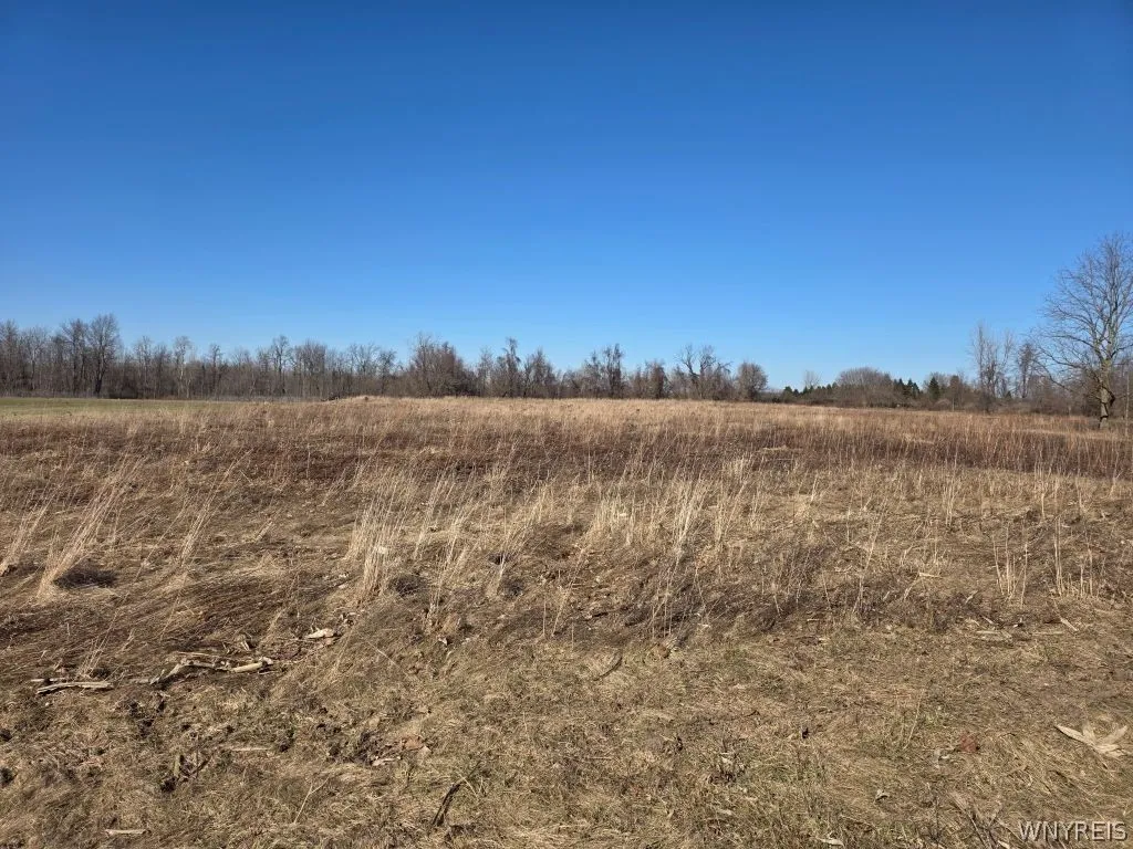 10880 Miland Road, Clarence, New York 14032, Clarence, New York 14032, ,Land,For Sale,10880 Miland Road, Clarence, New York 14032,0,B1667834