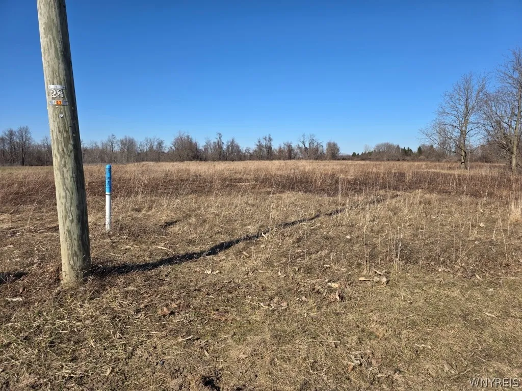 10880 Miland Road, Clarence, New York 14032, Clarence, New York 14032, ,Land,For Sale,10880 Miland Road, Clarence, New York 14032,0,B1667834