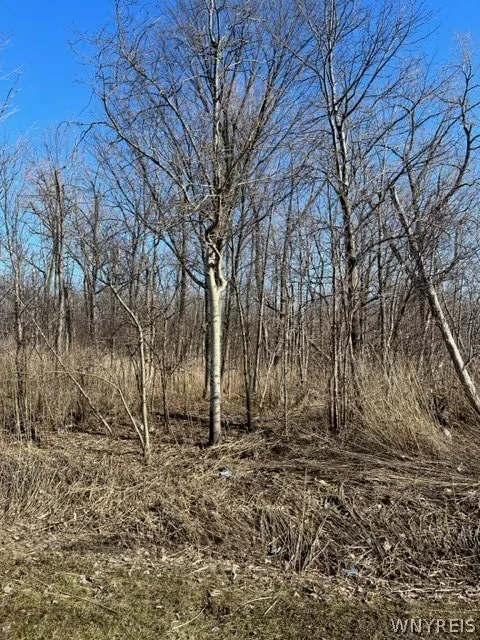 0 Wilson Avenue South, Lancaster, New York 14086, Lancaster, New York 14086, ,Land,For Sale,0 Wilson Avenue South, Lancaster, New York 14086,0,B1672604