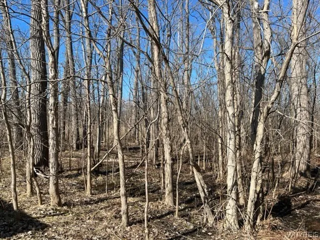 0 Wilson Avenue South, Lancaster, New York 14086, Lancaster, New York 14086, ,Land,For Sale,0 Wilson Avenue South, Lancaster, New York 14086,0,B1672604