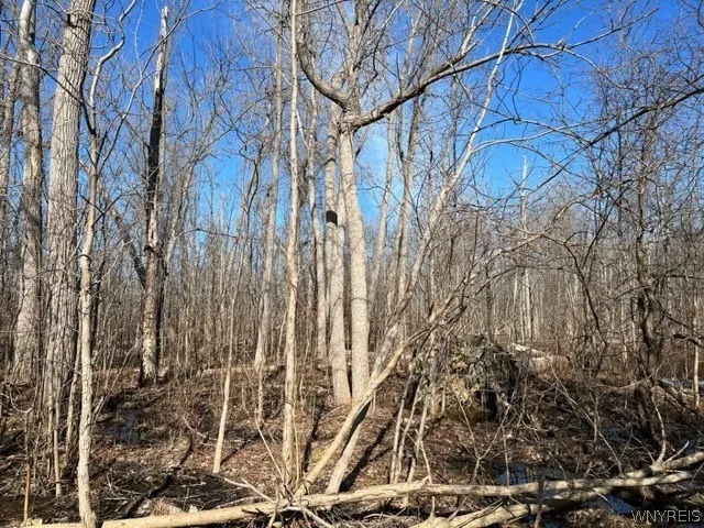 0 Wilson Avenue South, Lancaster, New York 14086, Lancaster, New York 14086, ,Land,For Sale,0 Wilson Avenue South, Lancaster, New York 14086,0,B1672604
