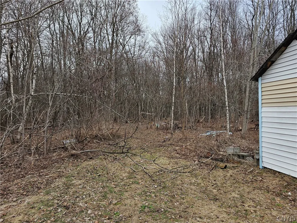 6985 Stearns Road, Floyd, New York 13440, Floyd, New York 13440, 5 Bedrooms Bedrooms, ,1 BathroomBathrooms,Land,For Sale,6985 Stearns Road, Floyd, New York 13440,0,S1672664