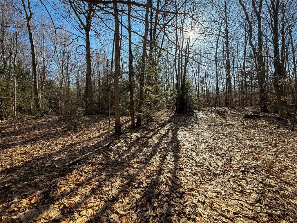 Paradise Road, Palermo, New York 13036, Palermo, New York 13036, ,Land,For Sale,Paradise Road, Palermo, New York 13036,0,R1672641
