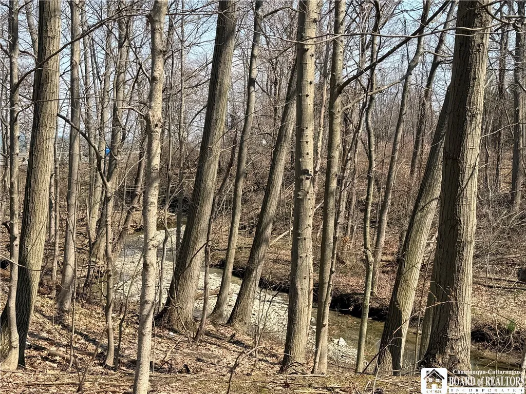 1985 Route 5, Sheridan, New York 14136, Sheridan, New York 14136, 2 Bedroom Bedrooms, 5 Room Rooms,1 BathroomBathrooms,Residential,For Sale,1985 Route 5, Sheridan, New York 14136,0,R1673024