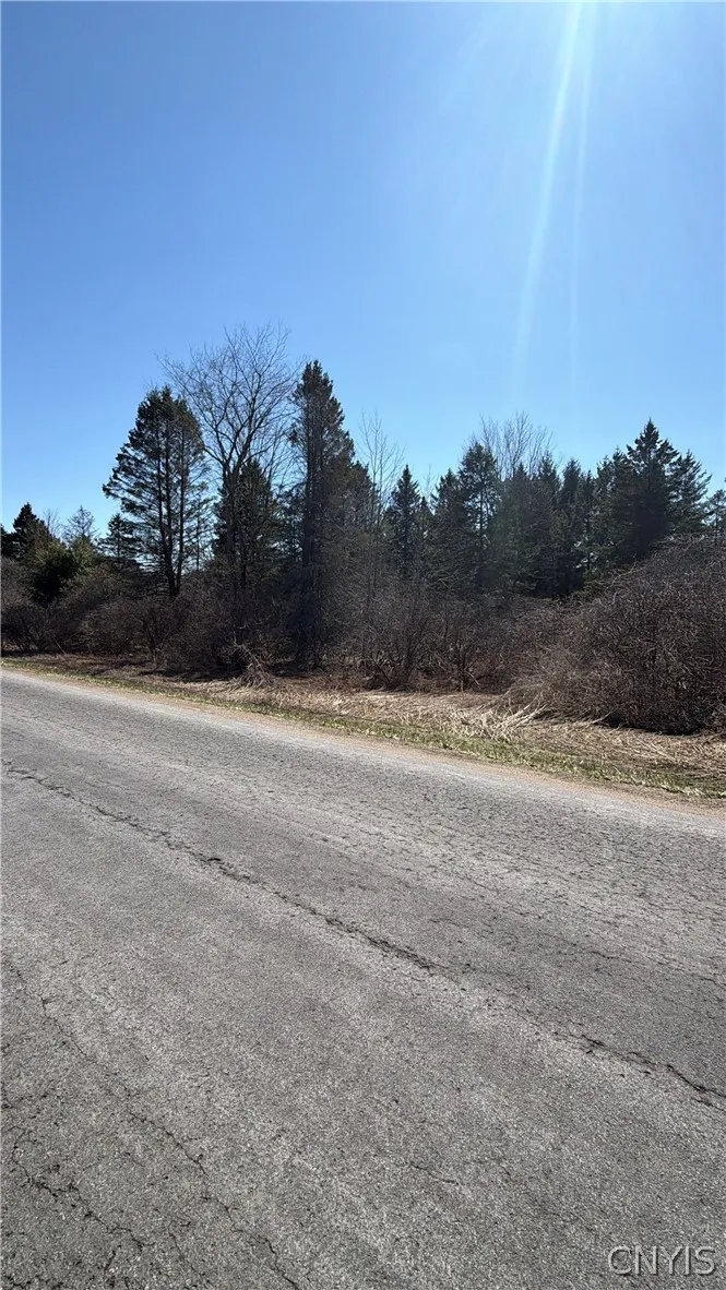 00 Fort Leazier Road, Mexico, New York 13114, Mexico, New York 13114, ,Land,For Sale,00 Fort Leazier Road, Mexico, New York 13114,0,S1672682
