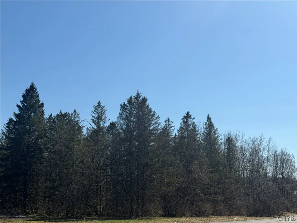 00 Fort Leazier Road, Mexico, New York 13114, Mexico, New York 13114, ,Land,For Sale,00 Fort Leazier Road, Mexico, New York 13114,0,S1672682