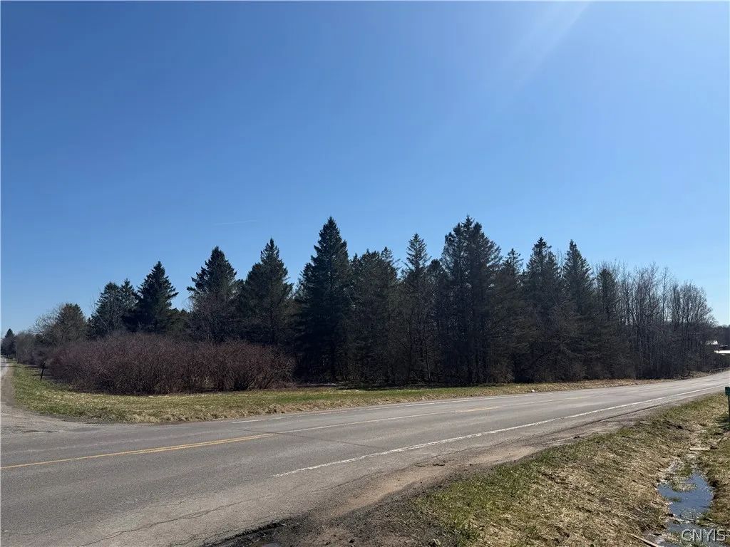 00 Fort Leazier Road, Mexico, New York 13114, Mexico, New York 13114, ,Land,For Sale,00 Fort Leazier Road, Mexico, New York 13114,0,S1672682