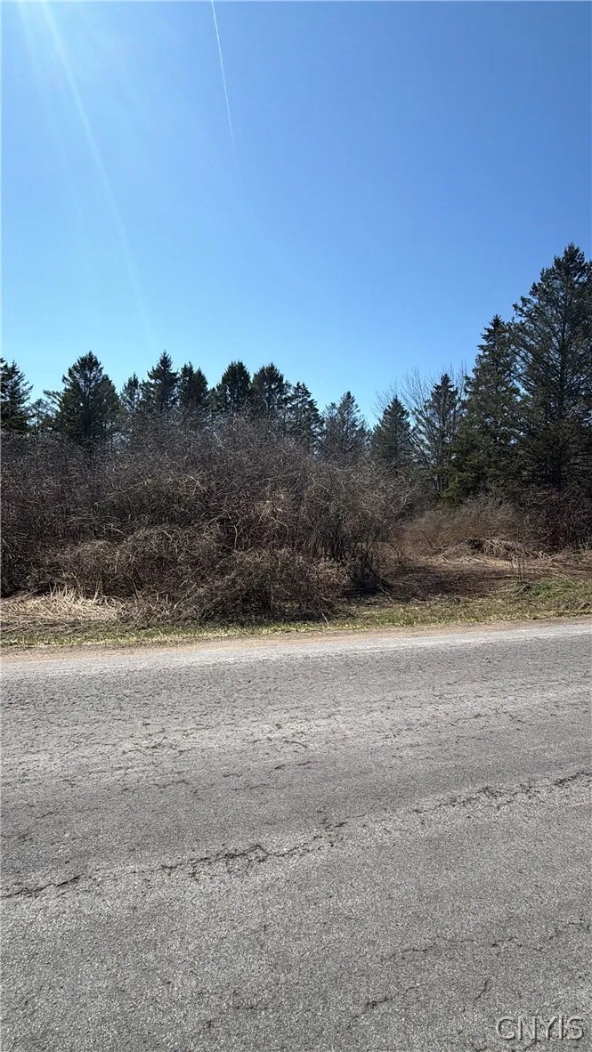 00 Fort Leazier Road, Mexico, New York 13114, Mexico, New York 13114, ,Land,For Sale,00 Fort Leazier Road, Mexico, New York 13114,0,S1672682