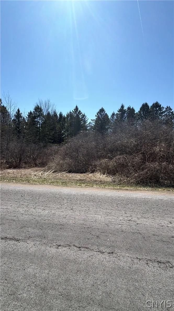 00 Fort Leazier Road, Mexico, New York 13114, Mexico, New York 13114, ,Land,For Sale,00 Fort Leazier Road, Mexico, New York 13114,0,S1672682