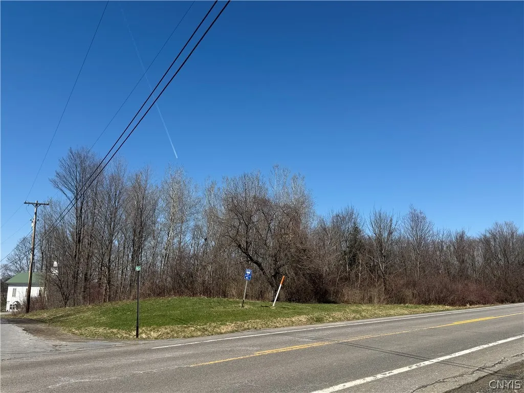 Leazier Road, Mexico, New York 13114, Mexico, New York 13114, ,Land,For Sale,Leazier Road, Mexico, New York 13114,0,S1672638