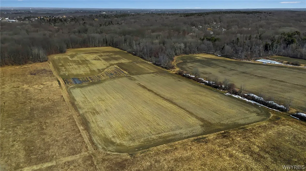 Ellicott Road, Orchard Park, New York 14127, Orchard Park, New York 14127, ,Land,For Sale,Ellicott Road, Orchard Park, New York 14127,0,B1673325