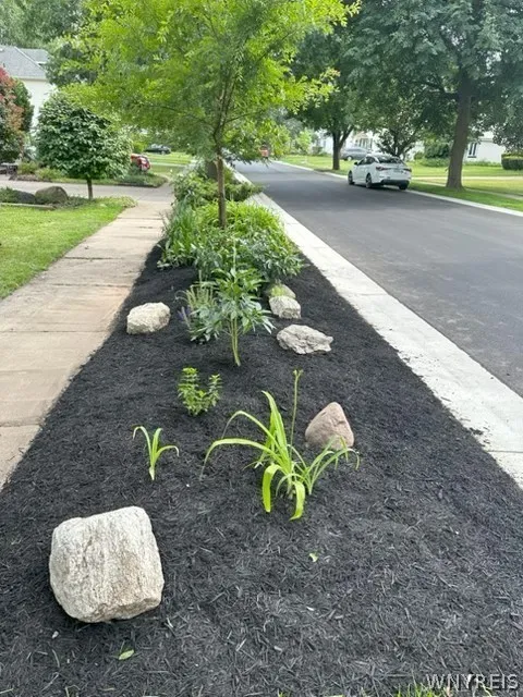 Landscaping to the curb