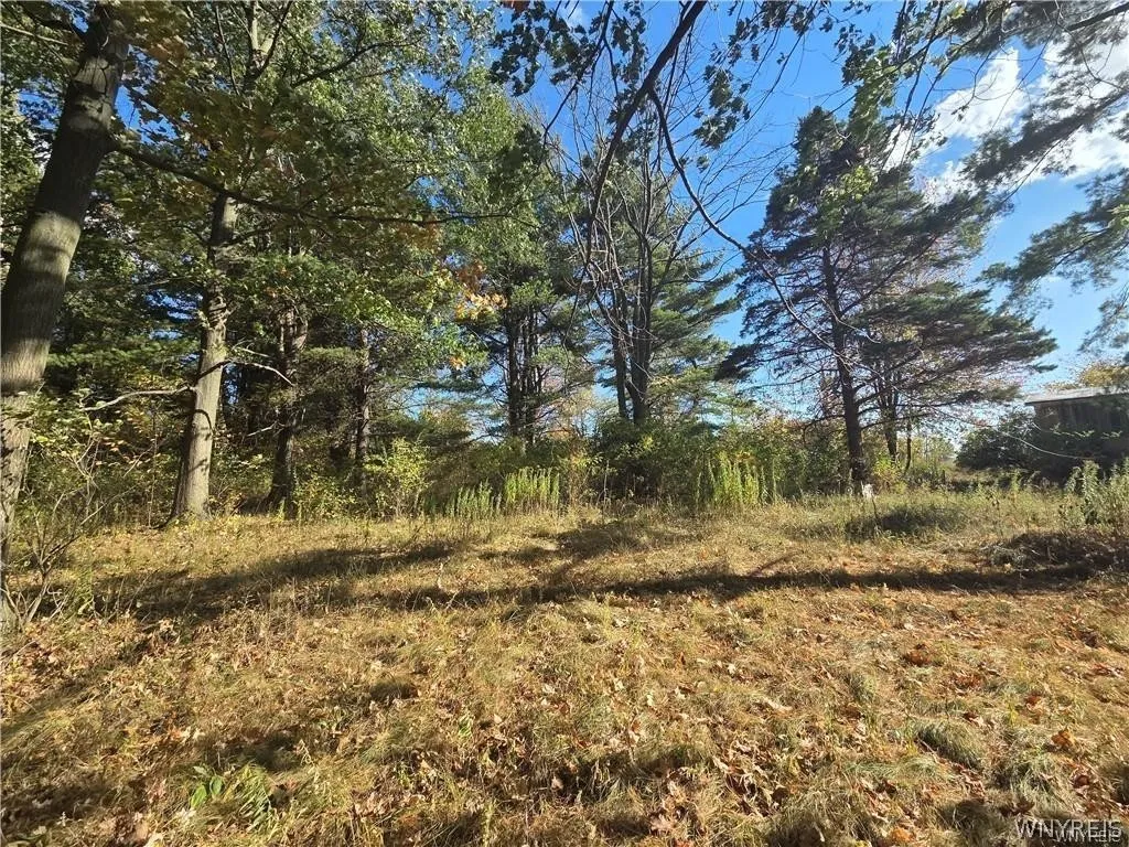 14503 Erway Trak Road, Carlton, New York 14411, Carlton, New York 14411, 3 Bedroom Bedrooms, 5 Room Rooms,2 BathroomBathrooms,Residential,For Sale,14503 Erway Trak Road, Carlton, New York 14411,0,B1674054