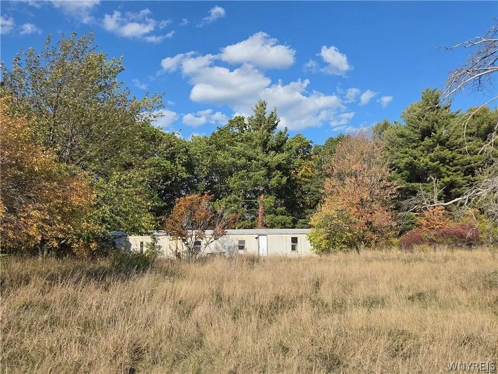 14503 Erway Trak Road, Carlton, New York 14411, Carlton, New York 14411, 3 Bedroom Bedrooms, 5 Room Rooms,2 BathroomBathrooms,Residential,For Sale,14503 Erway Trak Road, Carlton, New York 14411,0,B1674054