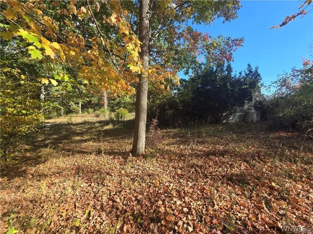 14503 Erway Trak Road, Carlton, New York 14411, Carlton, New York 14411, 3 Bedroom Bedrooms, 5 Room Rooms,2 BathroomBathrooms,Residential,For Sale,14503 Erway Trak Road, Carlton, New York 14411,0,B1674054