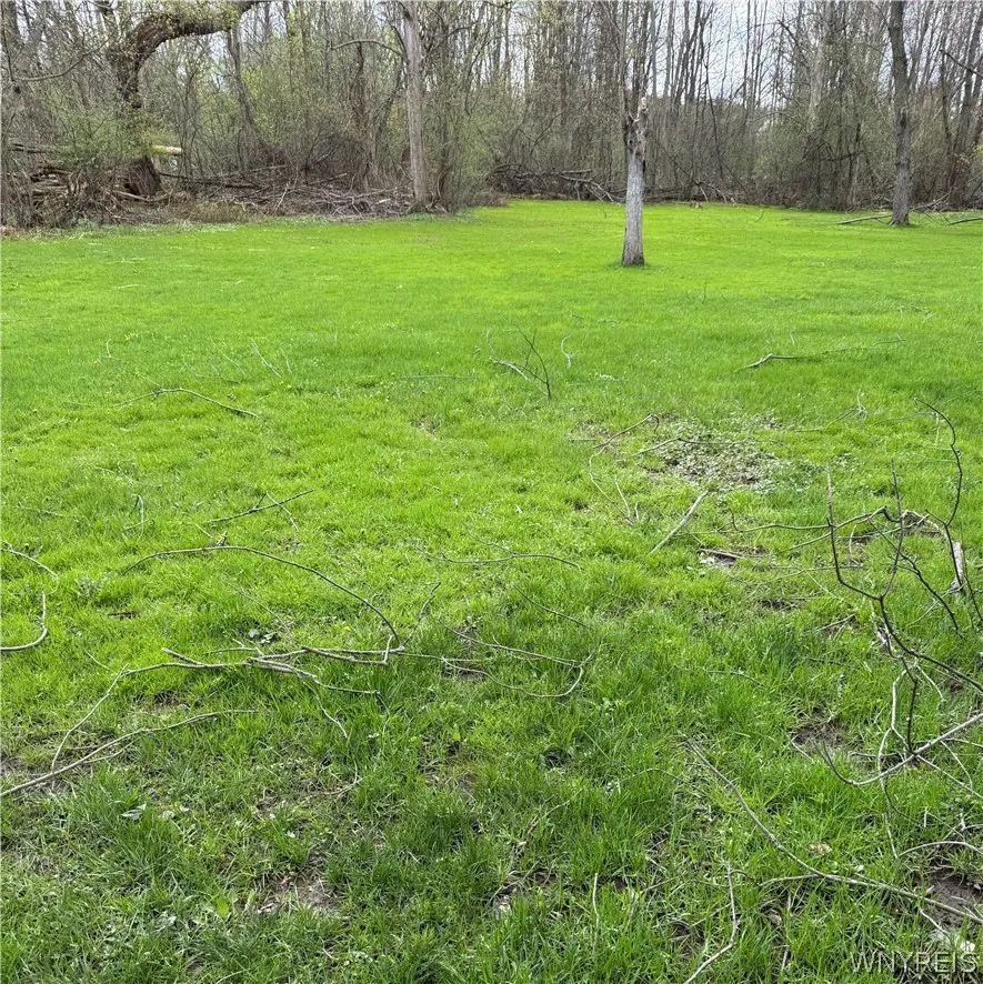 Rear View- extra wide lot