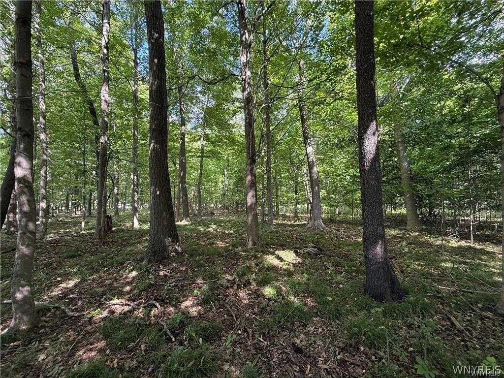 V/l Jones Road, Clarence, New York 14031, Clarence, New York 14031, ,Land,For Sale,V/l Jones Road, Clarence, New York 14031,0,B1670534