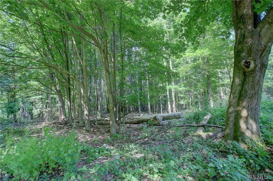 5880 Draudt Road, Orchard Park, New York 14127, Orchard Park, New York 14127, 3 Bedrooms Bedrooms, 9 Rooms Rooms,2 BathroomsBathrooms,Residential Lease,For Rent,5880 Draudt Road, Orchard Park, New York 14127,0,B1676004