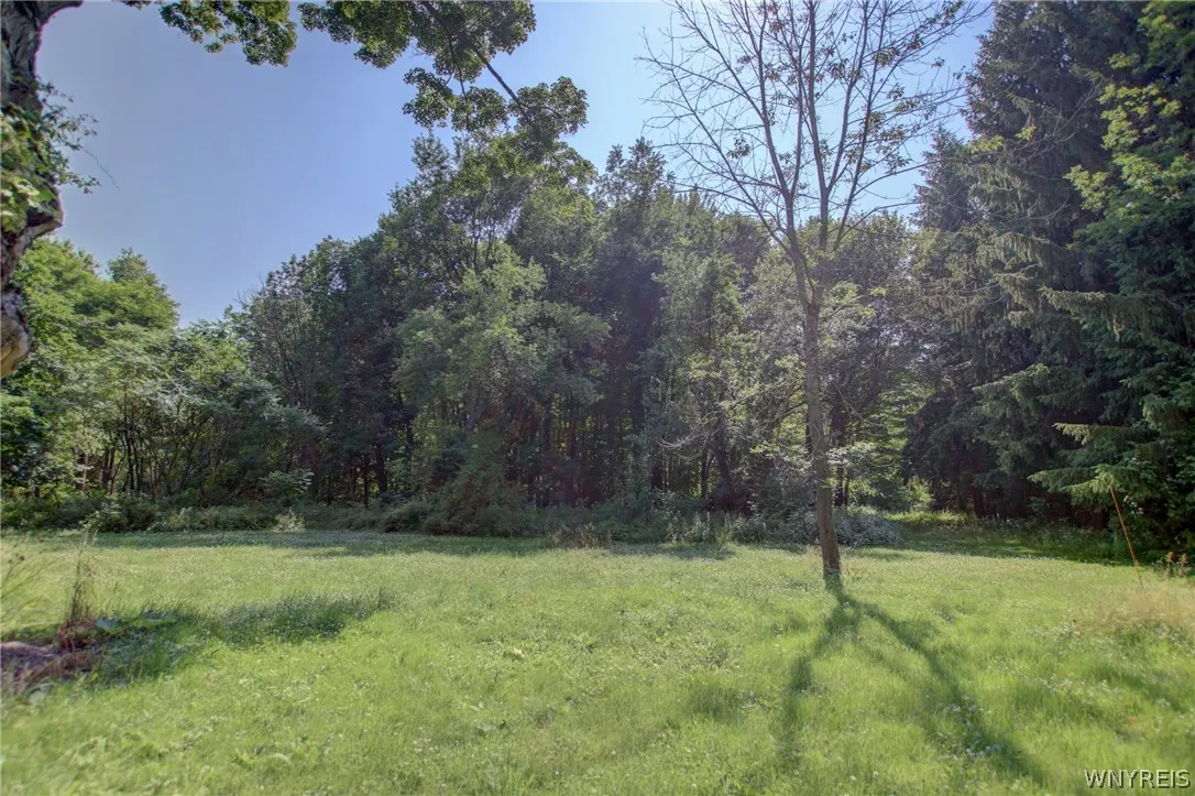 5880 Draudt Road, Orchard Park, New York 14127, Orchard Park, New York 14127, 3 Bedrooms Bedrooms, 9 Rooms Rooms,2 BathroomsBathrooms,Residential Lease,For Rent,5880 Draudt Road, Orchard Park, New York 14127,0,B1676004