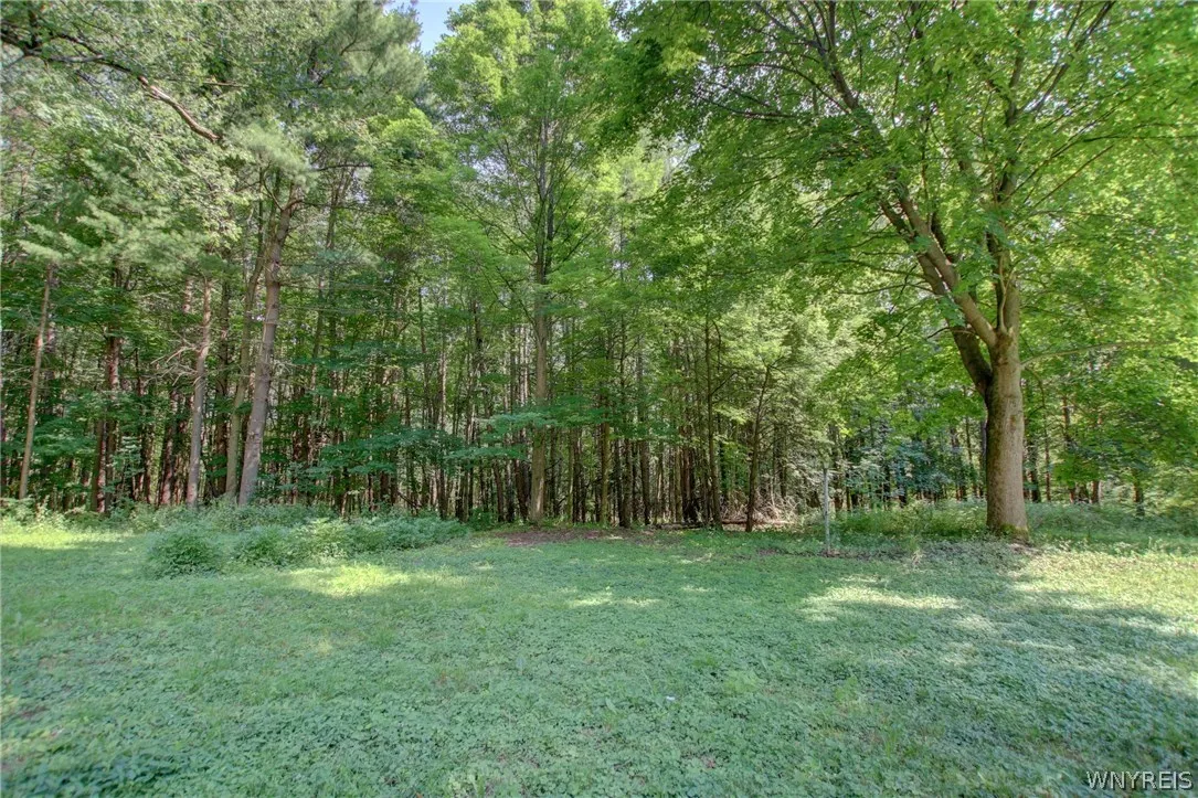 5880 Draudt Road, Orchard Park, New York 14127, Orchard Park, New York 14127, 3 Bedrooms Bedrooms, 9 Rooms Rooms,2 BathroomsBathrooms,Residential Lease,For Rent,5880 Draudt Road, Orchard Park, New York 14127,0,B1676004