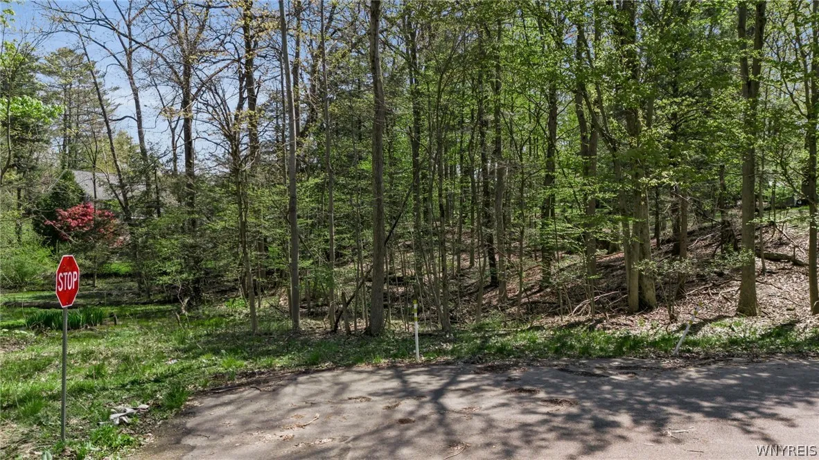 Vl Middlebury 2, Orchard Park, New York 14127, Orchard Park, New York 14127, ,Land,For Sale,Vl Middlebury 2, Orchard Park, New York 14127,0,B1679843