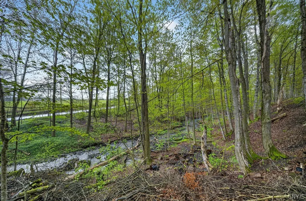 2421 Shamrock Road, Spafford, New York 13152, Spafford, New York 13152, 3 Bedroom Bedrooms, 8 Room Rooms,1 BathroomBathrooms,Residential,For Sale,2421 Shamrock Road, Spafford, New York 13152,0,S1680580