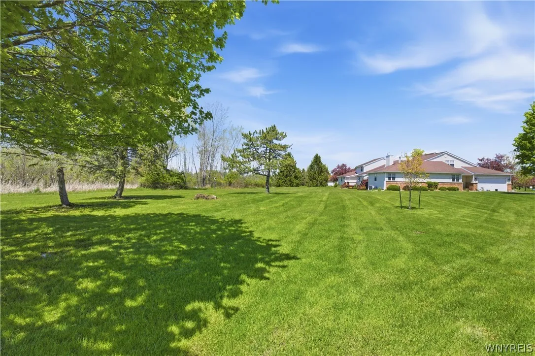 Private back yard