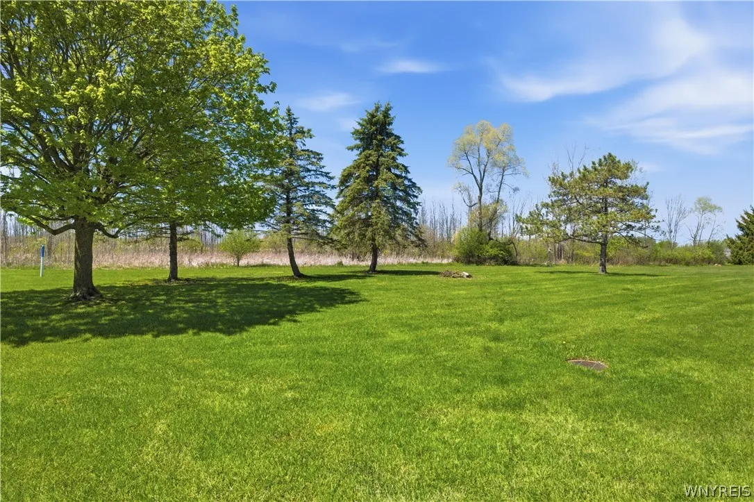 Private back yard