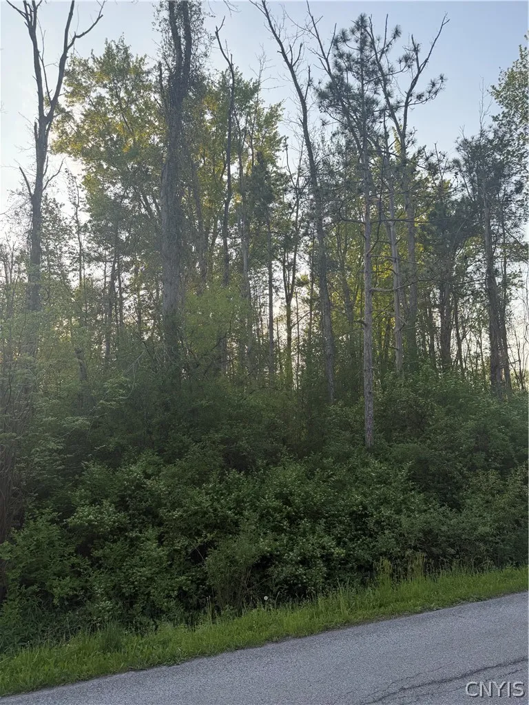 Miner Road, Sullivan, New York 13030, Sullivan, New York 13030, ,Land,For Sale,Miner Road, Sullivan, New York 13030,0,S1682483