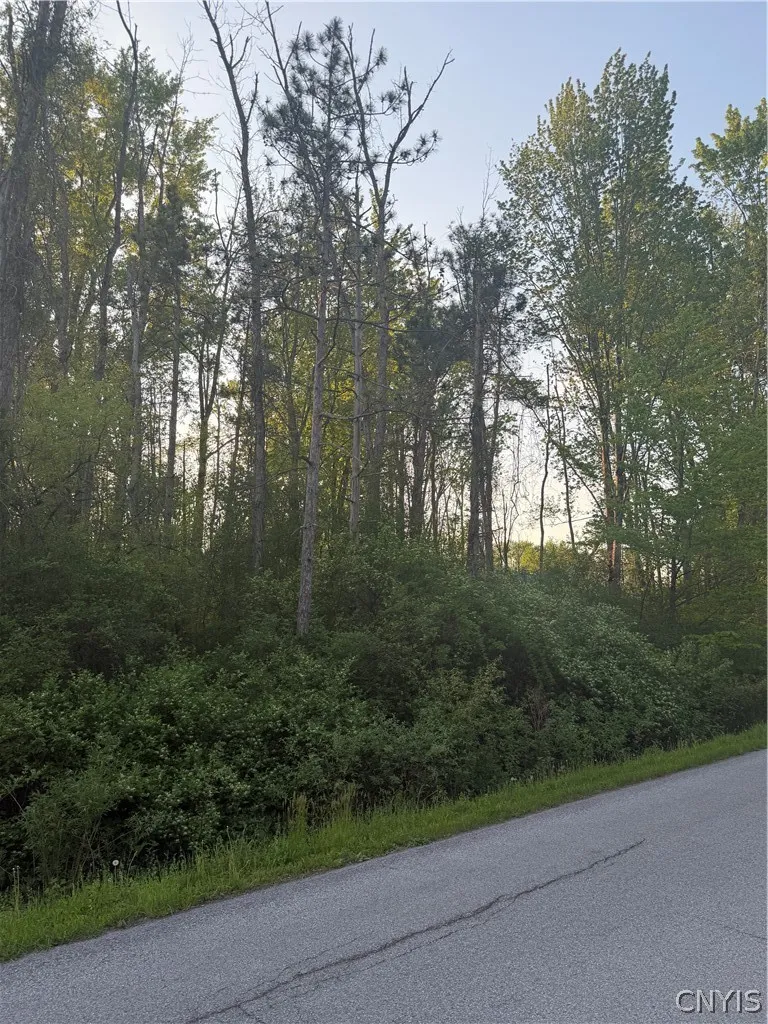 Miner Road, Sullivan, New York 13030, Sullivan, New York 13030, ,Land,For Sale,Miner Road, Sullivan, New York 13030,0,S1682483