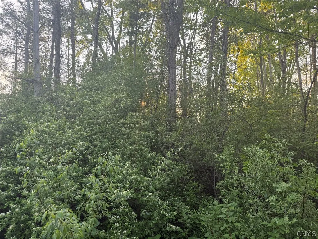 Miner Road, Sullivan, New York 13030, Sullivan, New York 13030, ,Land,For Sale,Miner Road, Sullivan, New York 13030,0,S1682483