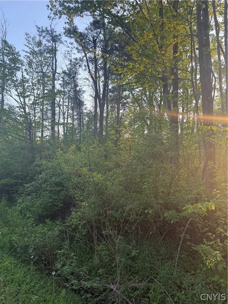 Miner Road, Sullivan, New York 13030, Sullivan, New York 13030, ,Land,For Sale,Miner Road, Sullivan, New York 13030,0,S1682483