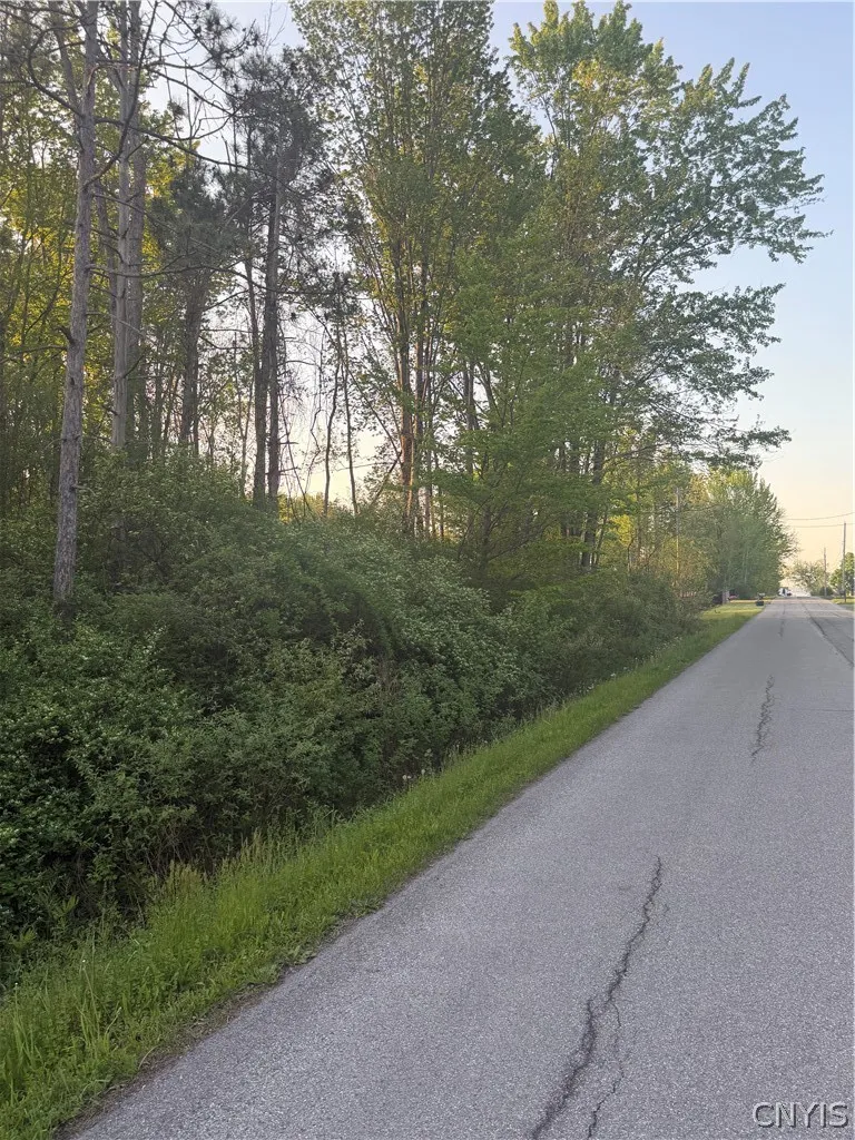 Miner Road, Sullivan, New York 13030, Sullivan, New York 13030, ,Land,For Sale,Miner Road, Sullivan, New York 13030,0,S1682483