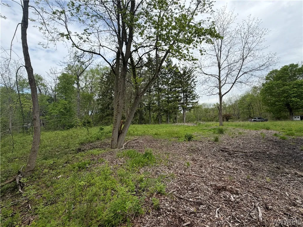 4880 Ransom Road, Clarence, New York 14301, Clarence, New York 14301, ,Land,For Sale,4880 Ransom Road, Clarence, New York 14301,0,B1682885