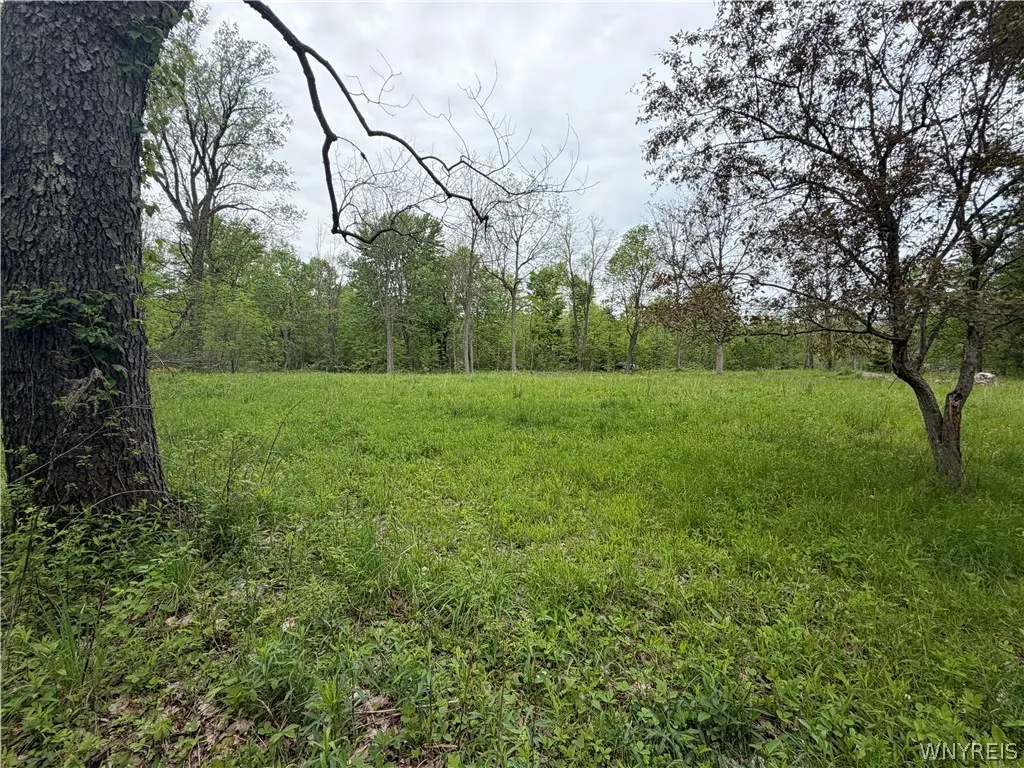 4880 Ransom Road, Clarence, New York 14301, Clarence, New York 14301, ,Land,For Sale,4880 Ransom Road, Clarence, New York 14301,0,B1682885