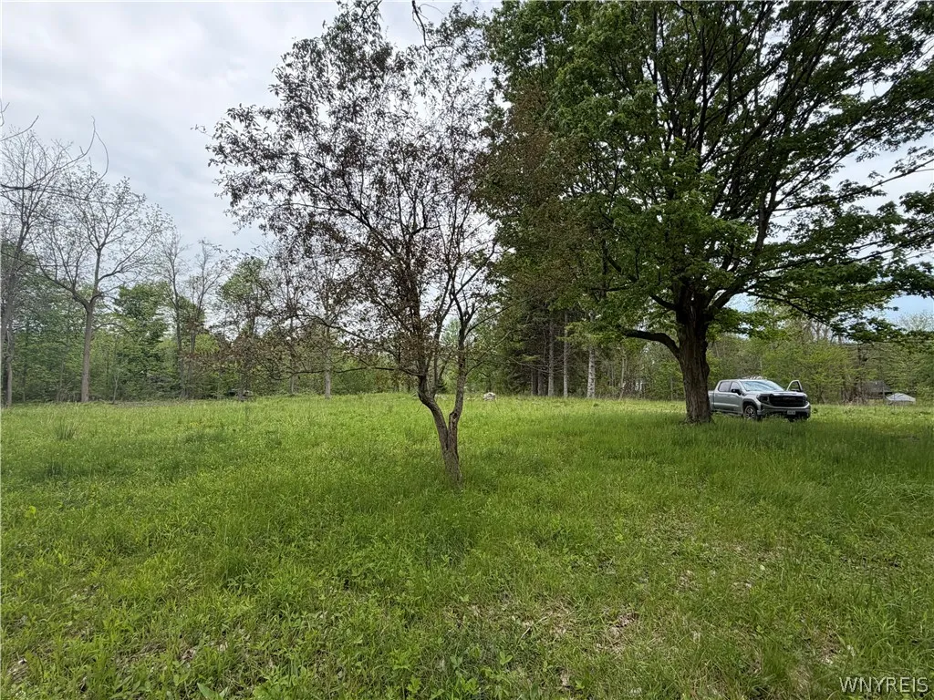4880 Ransom Road, Clarence, New York 14301, Clarence, New York 14301, ,Land,For Sale,4880 Ransom Road, Clarence, New York 14301,0,B1682885