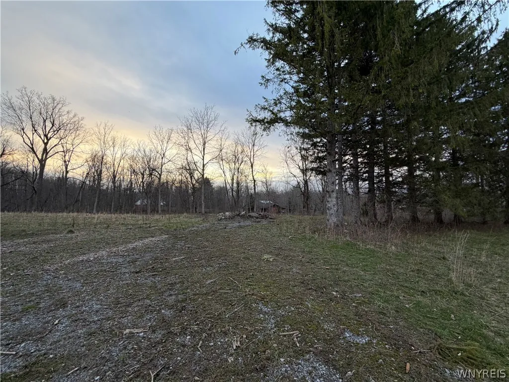 4880 Ransom Road, Clarence, New York 14301, Clarence, New York 14301, ,Land,For Sale,4880 Ransom Road, Clarence, New York 14301,0,B1682885