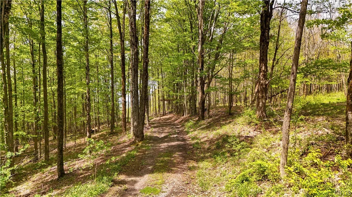 Smith Hill Road, Deerfield, New York 13502, Deerfield, New York 13502, ,Land,For Sale,Smith Hill Road, Deerfield, New York 13502,0,S1683535