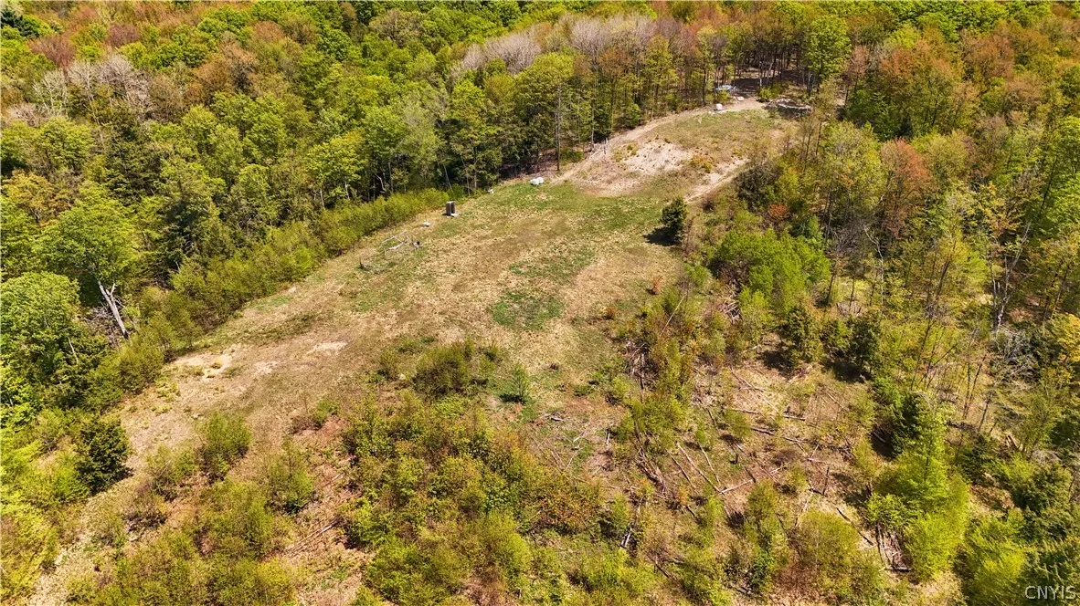 Smith Hill Road, Deerfield, New York 13502, Deerfield, New York 13502, ,Land,For Sale,Smith Hill Road, Deerfield, New York 13502,0,S1683535