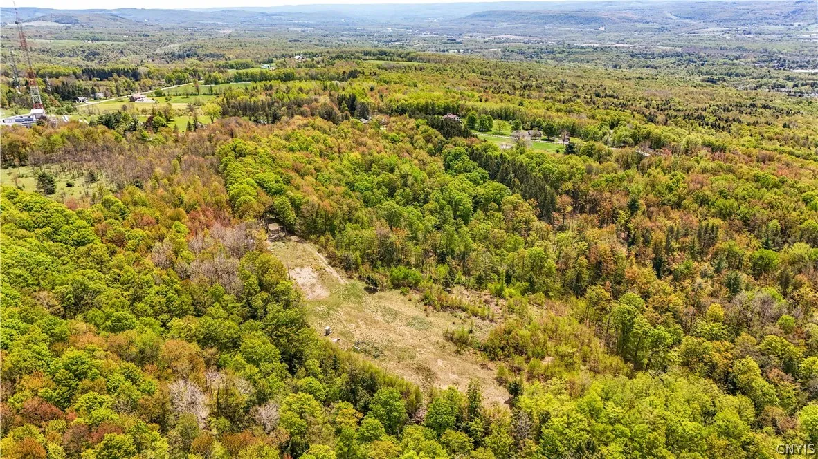 Smith Hill Road, Deerfield, New York 13502, Deerfield, New York 13502, ,Land,For Sale,Smith Hill Road, Deerfield, New York 13502,0,S1683535