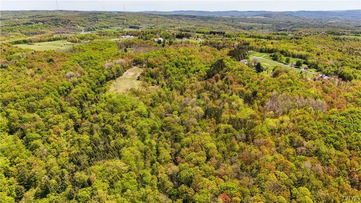 Smith Hill Road, Deerfield, New York 13502, Deerfield, New York 13502, ,Land,For Sale,Smith Hill Road, Deerfield, New York 13502,0,S1683535