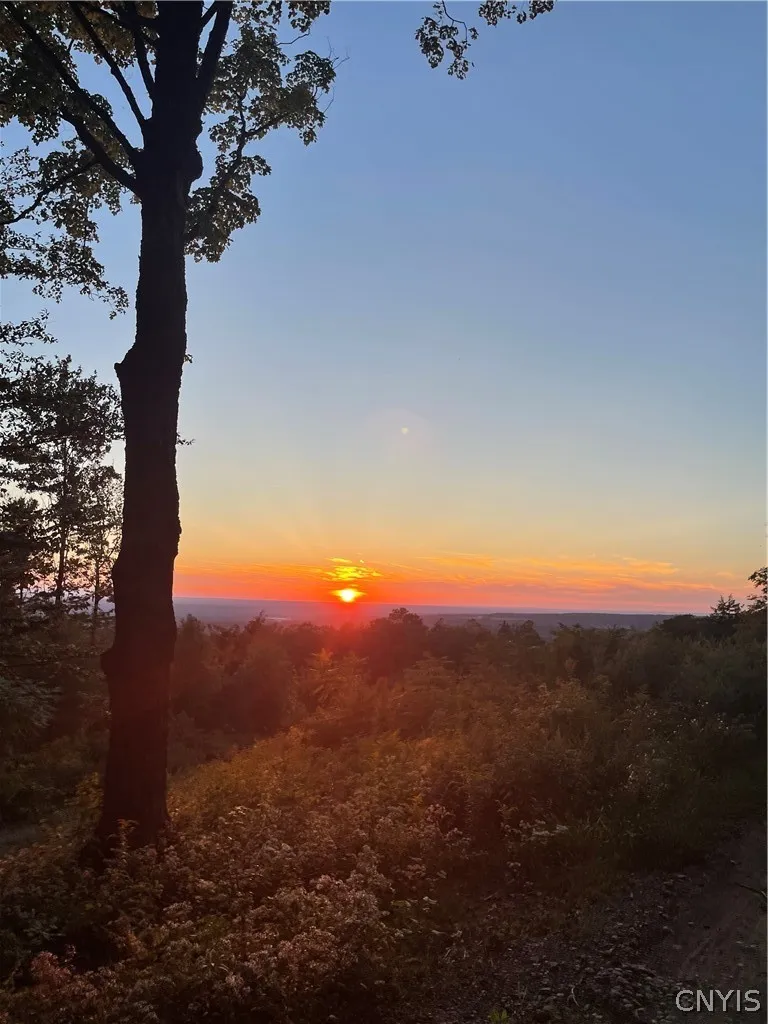 Smith Hill Road, Deerfield, New York 13502, Deerfield, New York 13502, ,Land,For Sale,Smith Hill Road, Deerfield, New York 13502,0,S1683535