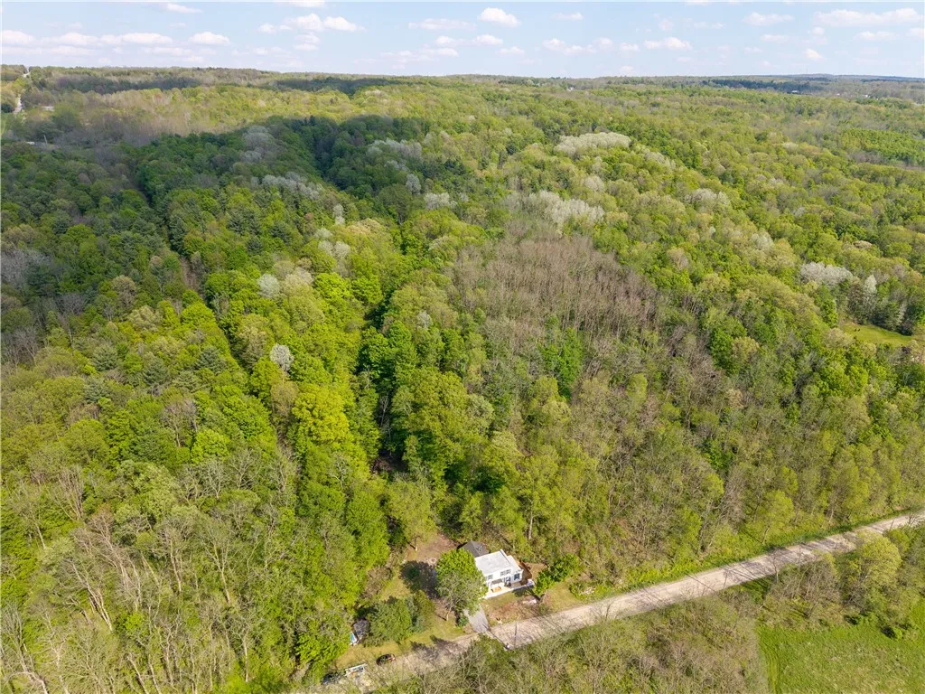 6929 East Swamp Road, Conesus, New York 14435, Conesus, New York 14435, 4 Bedrooms Bedrooms, 10 Rooms Rooms,2 BathroomsBathrooms,Residential,For Sale,6929 East Swamp Road, Conesus, New York 14435,0,R1682961