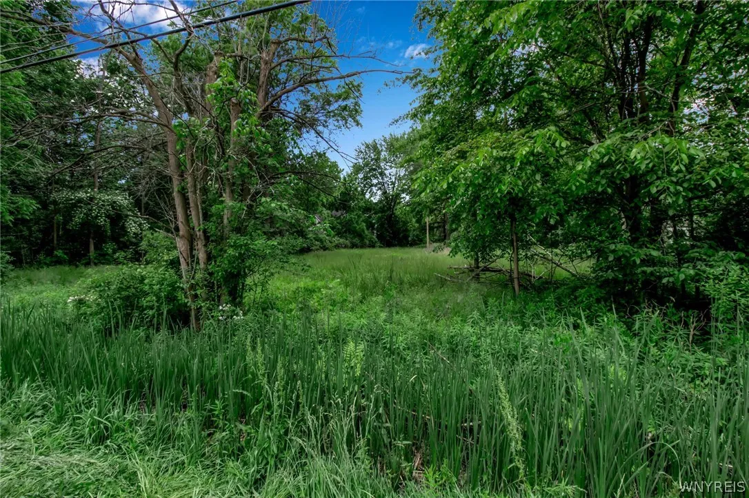 3710 East River Road, Grand Island, New York 14072, Grand Island, New York 14072, ,Land,For Sale,3710 East River Road, Grand Island, New York 14072,0,B1683053